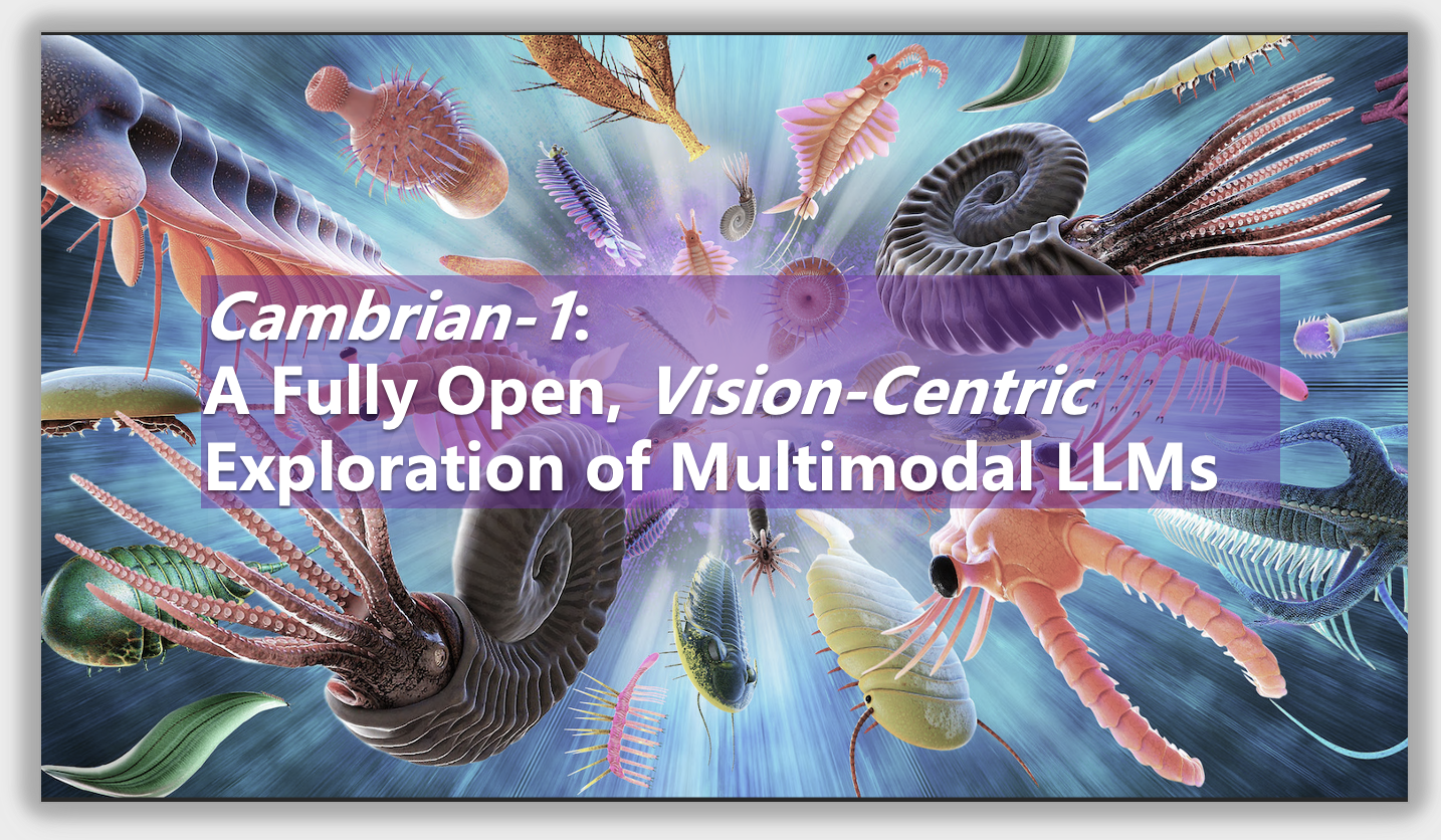 Cambrian-1: A Fully Open, Vision-Centric Exploration of Multimodal LLMs